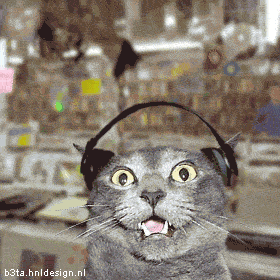 Quelle est la musique préférée de votre chat ? Cid_1_12
