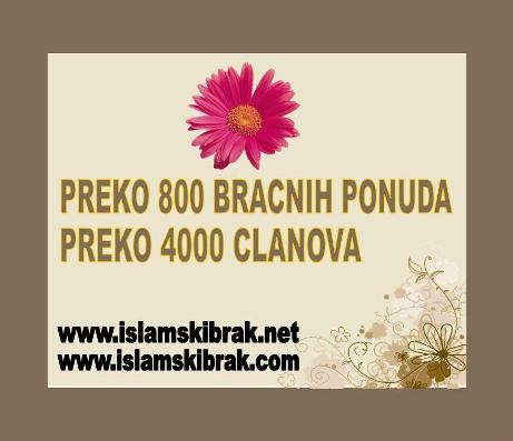 Novosti Ibrekl10