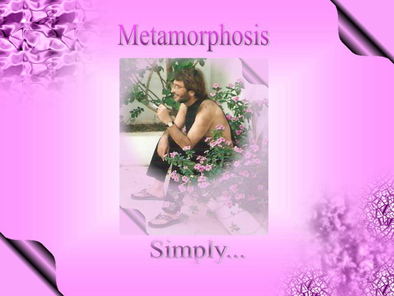 My Metamorphosis Slide110