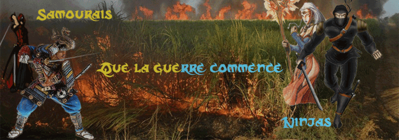 Ninjas et samouraïs : alliés ou ennemis