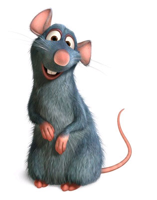Luna - bébé rat Ratato10