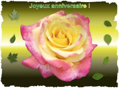 Bon Anniversaire Katia O Bon Anniversaire Katia O