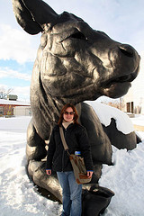 Sculpture animalière big size Denver10