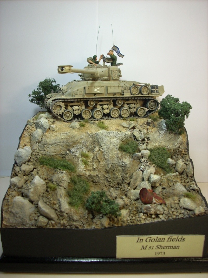 M 51 Super Sherman Academy 1/35 - Page 2 M51-1710