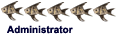 Admin Admin