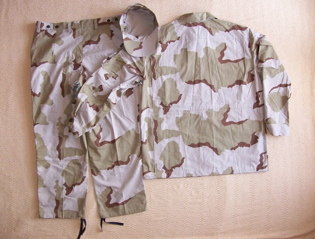 Belarussian camouflage - Page 2 100_5611