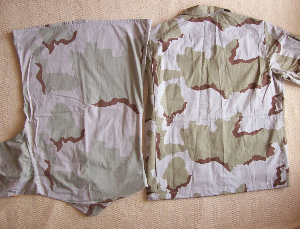 Belarussian camouflage - Page 2 100_5612