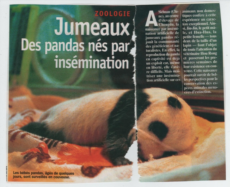 l'OURS dans la presse et les journaux - Page 12 Revue_10