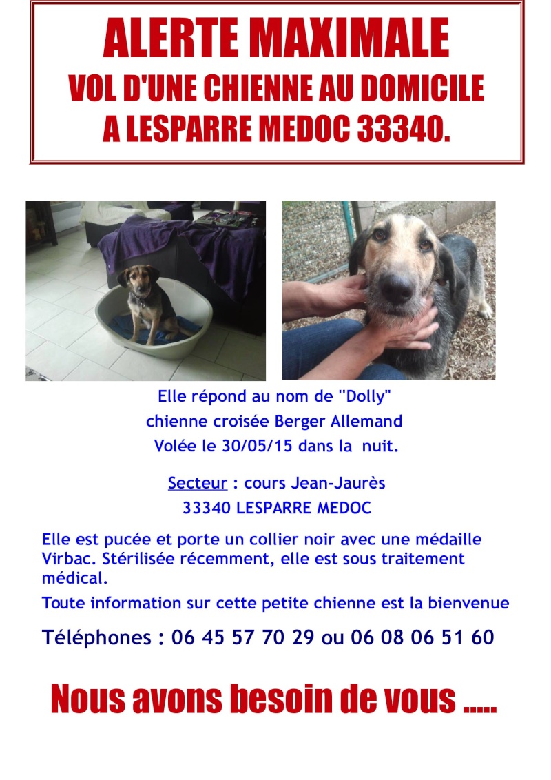 Dolly chienne croisée errante dans le Médoc Adoptée  Affich11