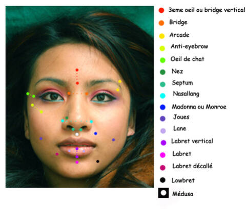 Les Differents Piercings Les Differents Piercings