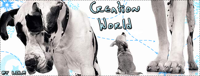 °~° Creation World °~°