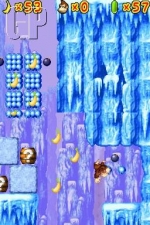 Donkey Kong Jungle Climber Dk_510