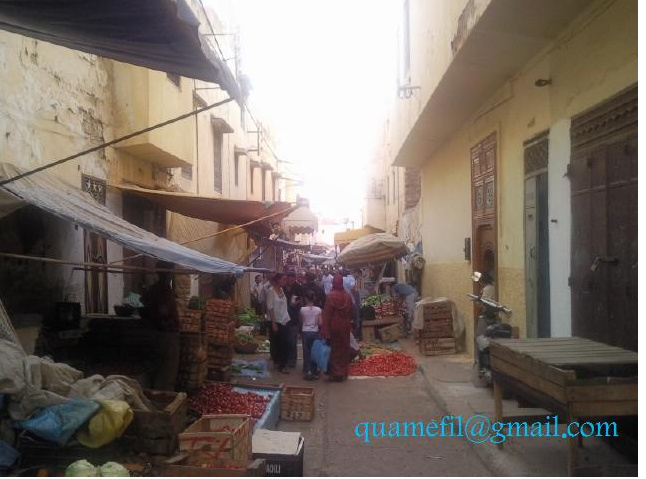 Meknès, la Ville Ancienne et les 2 Mellahs - 3 Meknys16