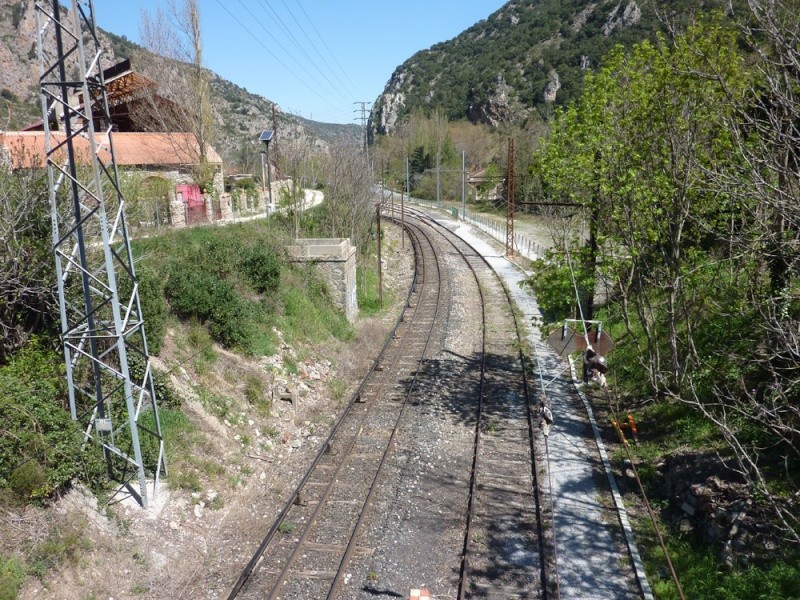 Canari : le petit train jaune de la Cerdagne R_p12331