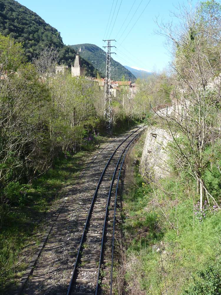 Canari : le petit train jaune de la Cerdagne R_p12332