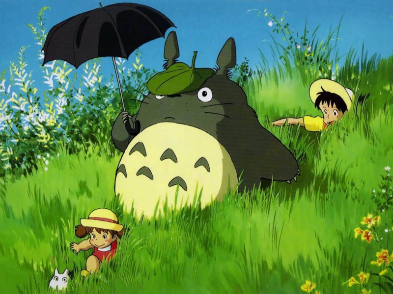 Ca vous fait rire ? Et bein moi pas ! - Page 3 Totoro10