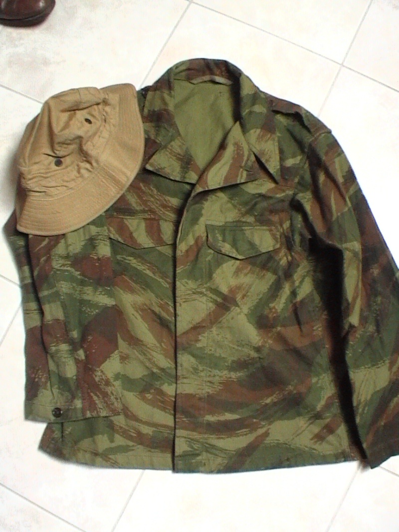 Un peu de camouflage Léopard 18210