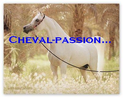 Cheval-Passion