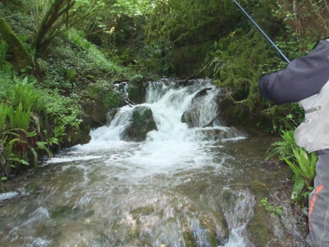 Dimanche avec mon pote P5100018