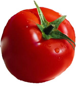 الطماطم تحارب السرطان Tomato10