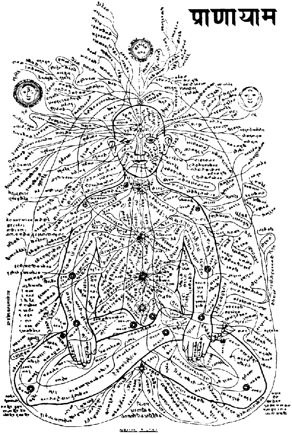 Les CHAKRAS Nadis10