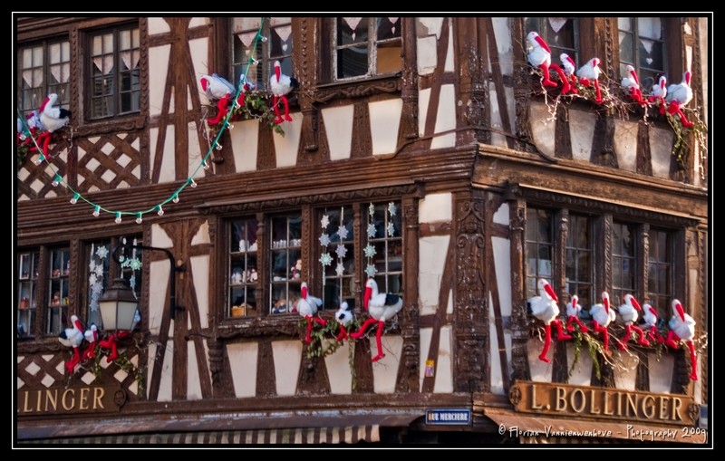 Strasbourg, une ville atyique Dsc08016