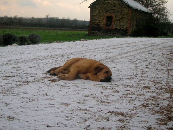 la neige dans l' ouest Erodes12