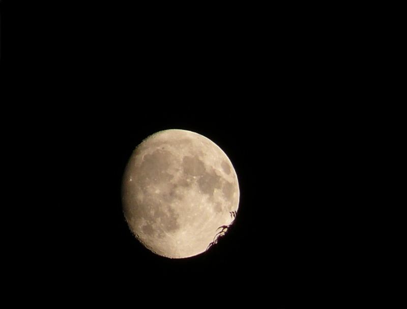 premiers essais de photos de nuit Lune111