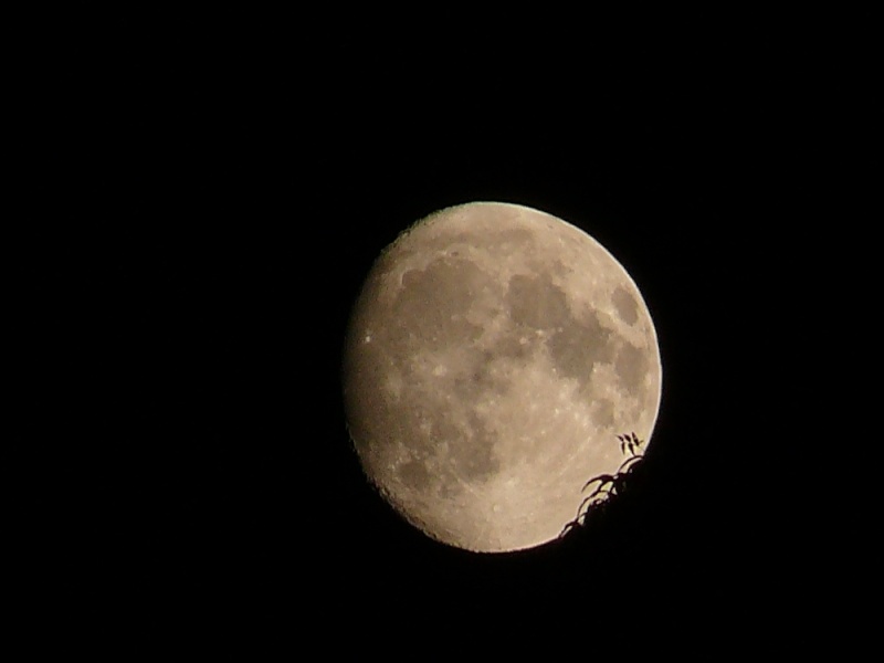 premiers essais de photos de nuit Lune211