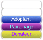 AD / PA / DO AD / PA / DO