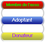 MA / AD / DO MA / AD / DO