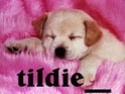 --- Tildie --- Logo_t10