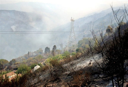 La kabylie sous le feu Kabyli10