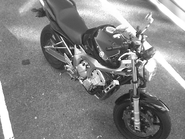 fz6 a vendre Dsc00310