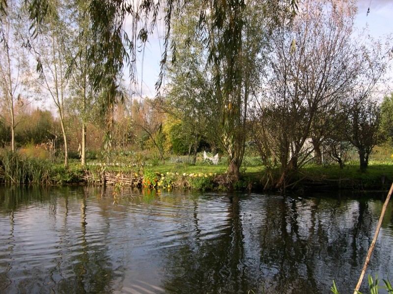 Petite ballade dans les marais de Bourges Dscn3033