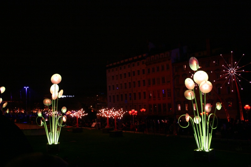 Illumination Lyon 2009. Img_1625