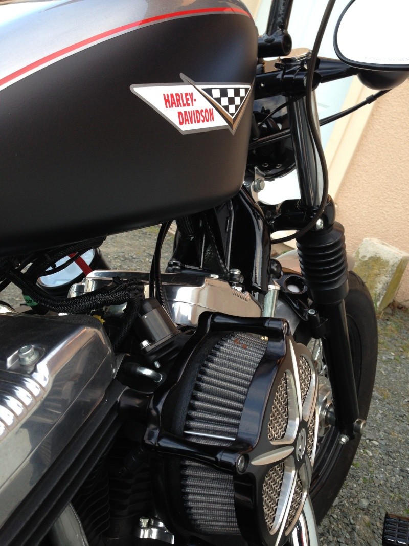 Harley Davidson Sporster 1200 Forty Eight avec quelques modifs ... - Page 10 Img_4412