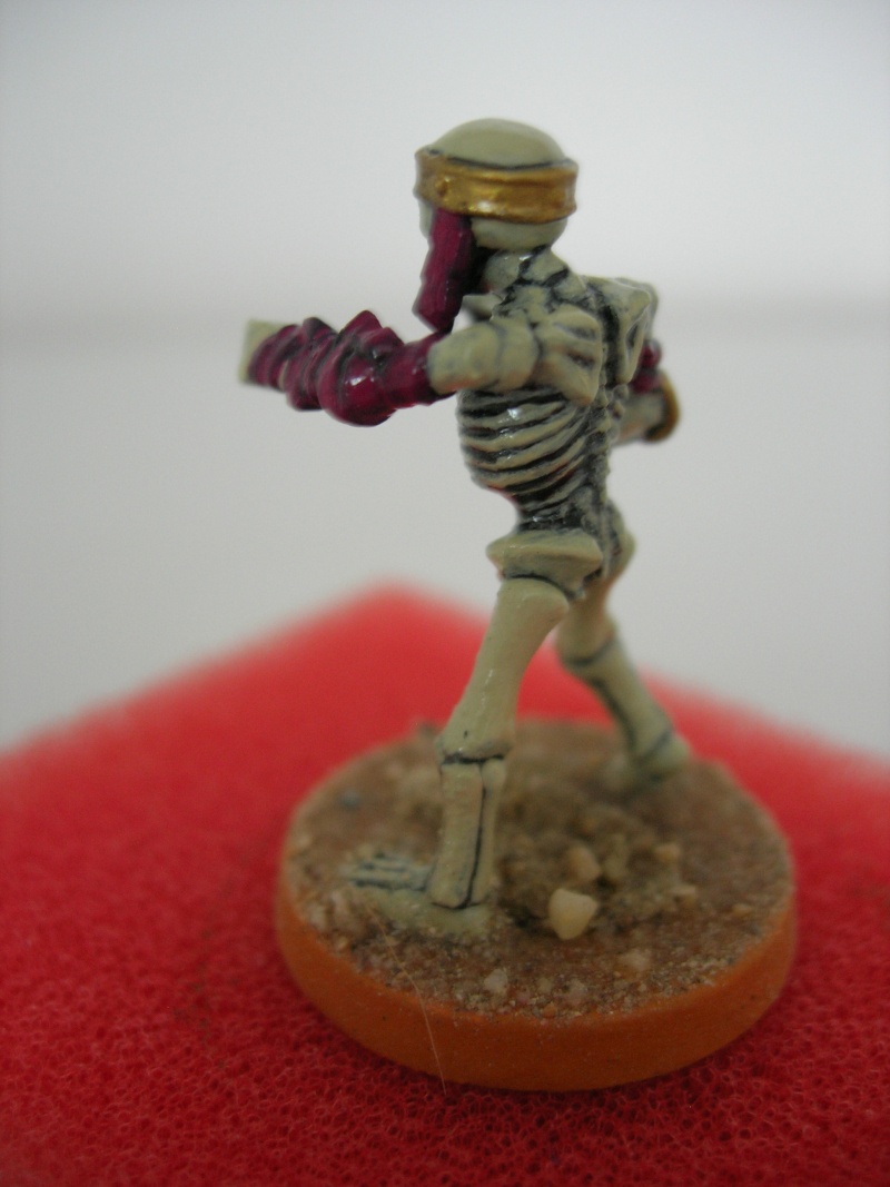 un squelette Dscn5610