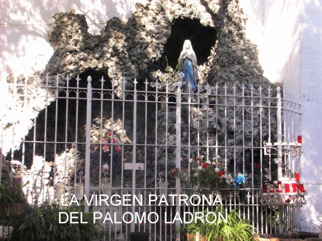 LA VIRGEN PATRONA DEL PALOMO LADRON La_pat12