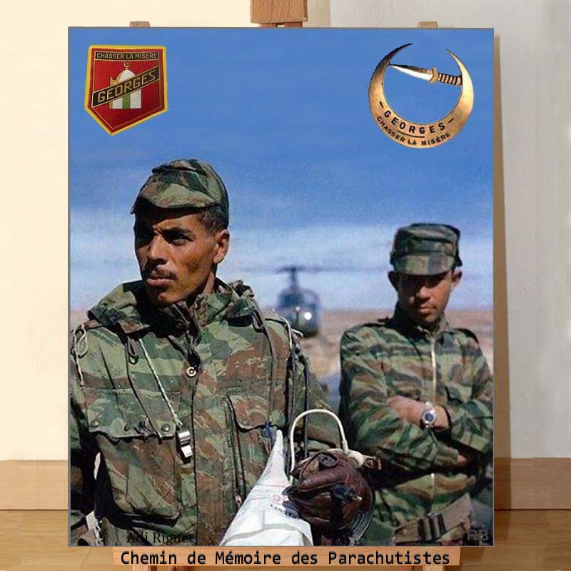 REPORTAGE Nogent/Marne: HONNEUR A L'ARMEE FRANCAISE D'ALGERIE 1_aa_c11