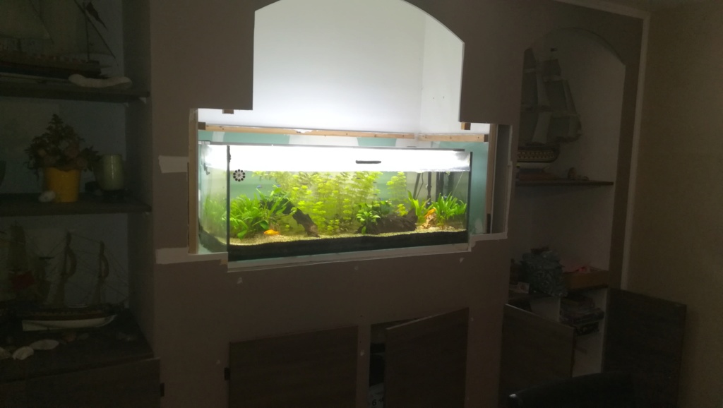 Nouvel aquarium 300l pour la maison Img_2014