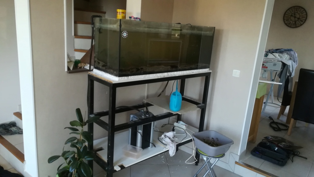 Nouvel aquarium 300l pour la maison - Page 3 Img_2033