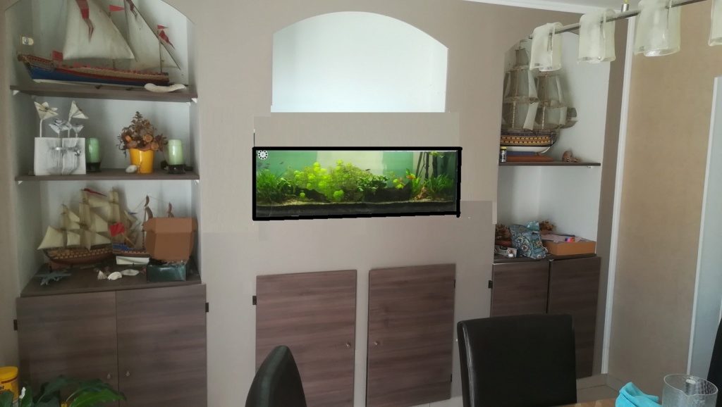 Nouvel aquarium 300l pour la maison Mut10