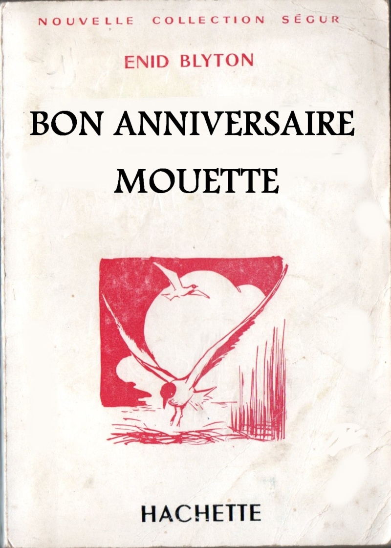 Bon anniversaire Mouette Mouett10