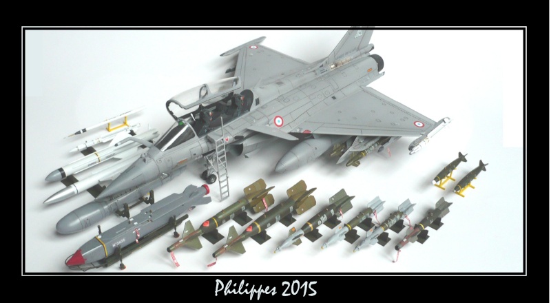 Rafale B 323 CEAM Revell 1/48 P1020811