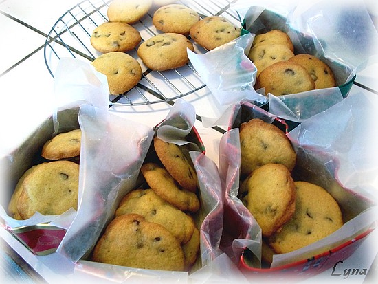 Biscuits aux pépites de chocolat Biscui10