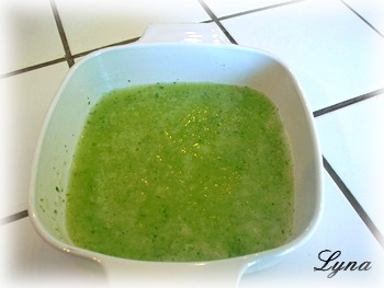 Granité de concombre à la vodka Granit11