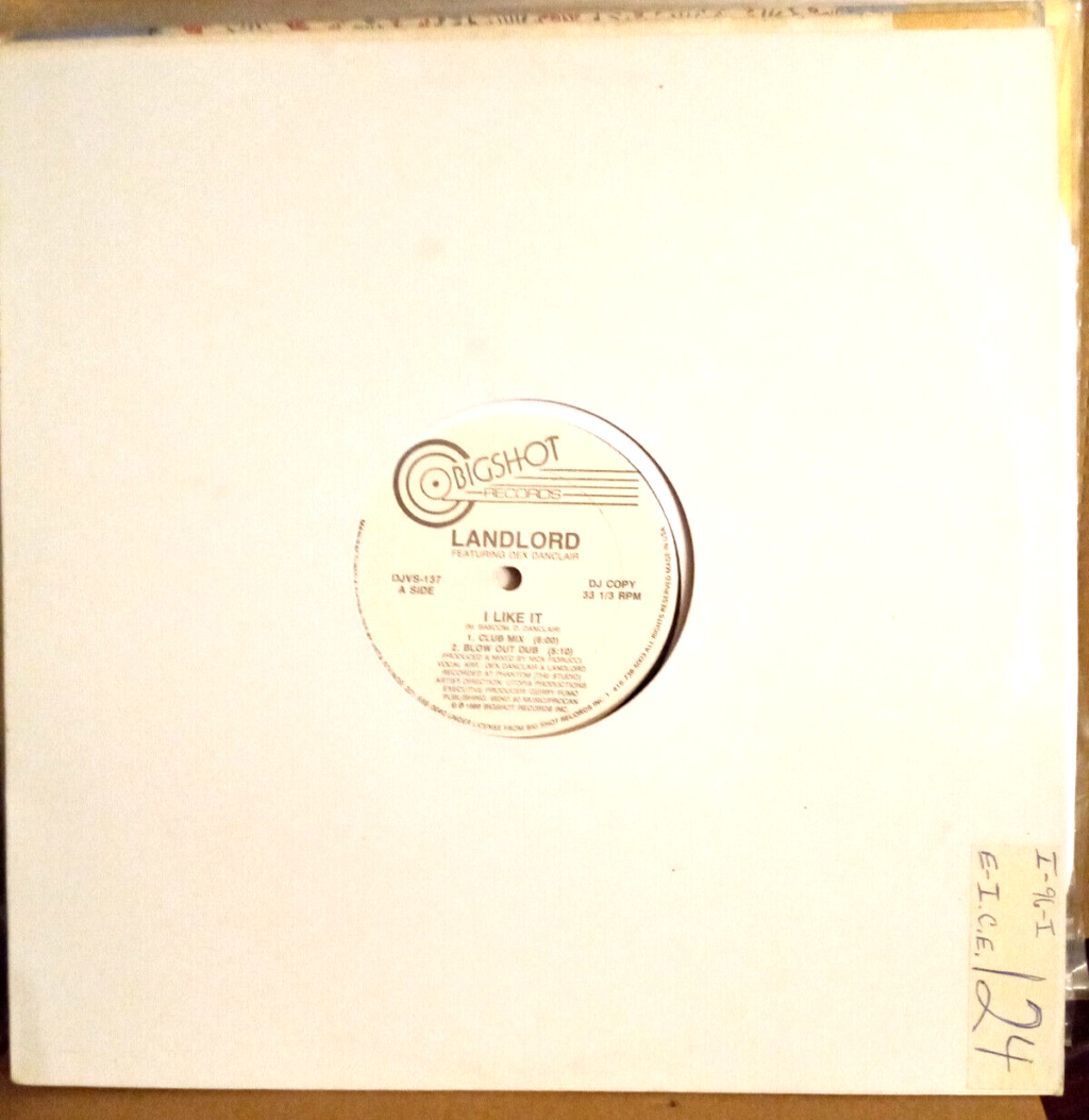 Landlord Featuring Dex Danclair I Like It vinyl 12" 1989 AAC Front207