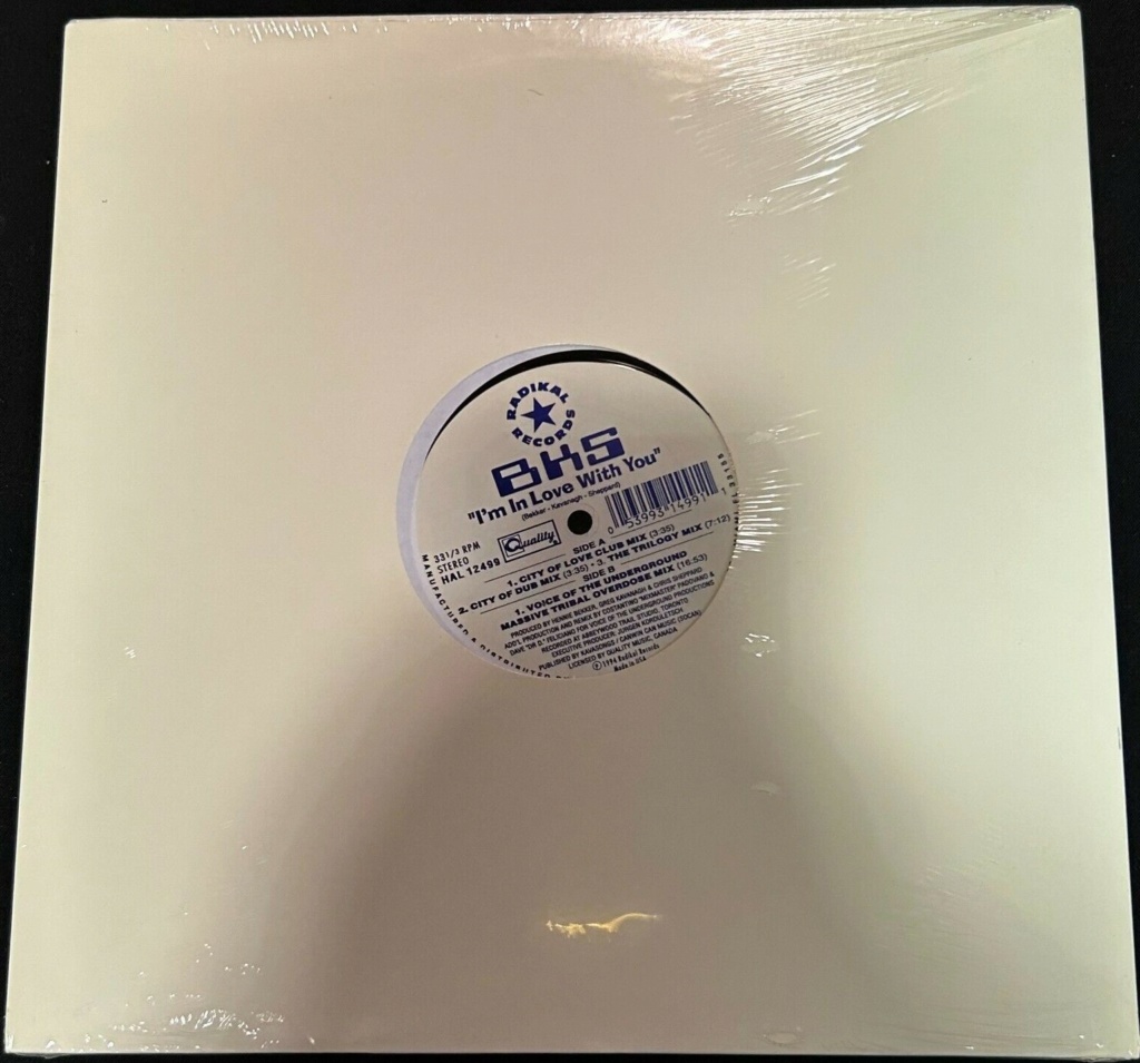 BKS  I'm In Love With You vinyl 12" 1994 AAC Front239