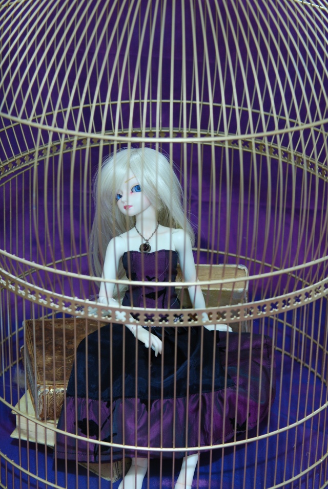 [MNF woosoo girl] poupée en cage  p.1 Dsc_0713